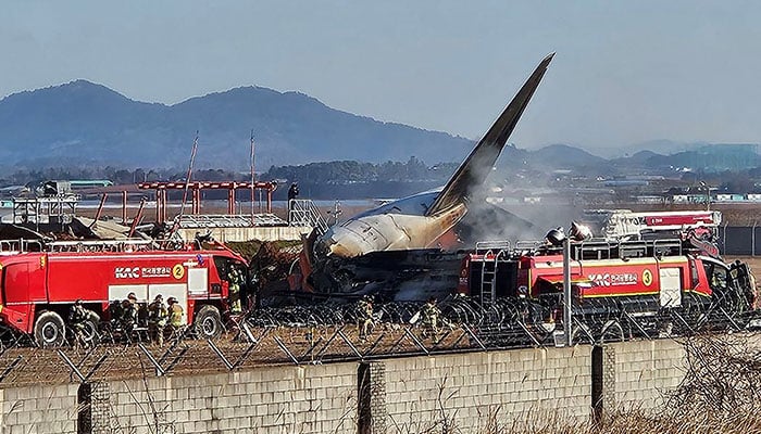 Muan Airport plane crash