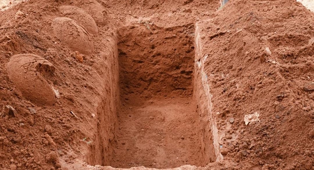 کے ایم سی