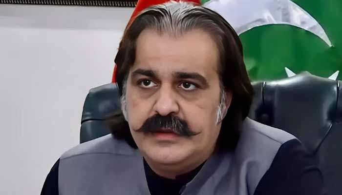 Ali Amin Gandapur