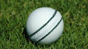 Pakistan fast bowlers