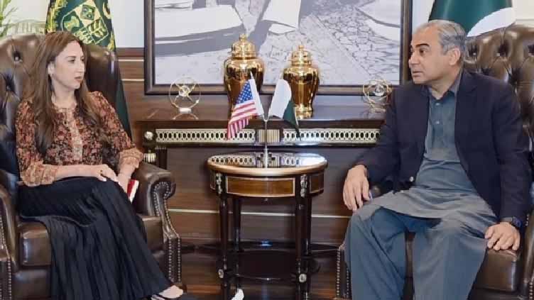 وزیر داخلہ محسن نقوی