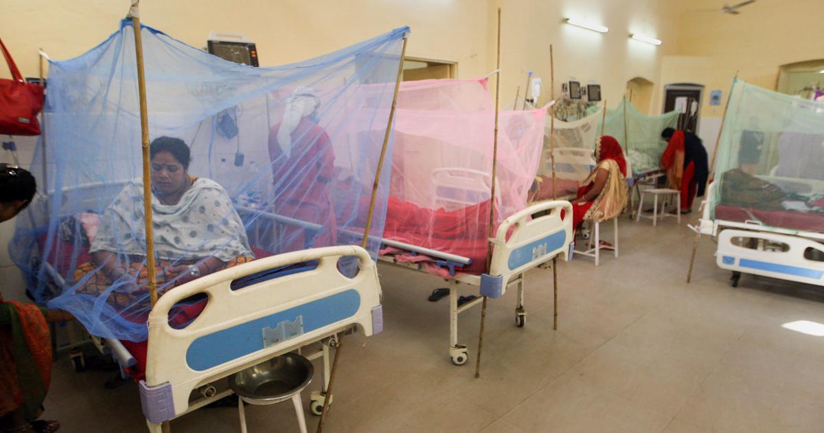 Dengue and Malaria Cases
