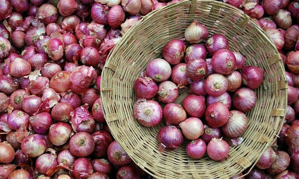 Onion Prices