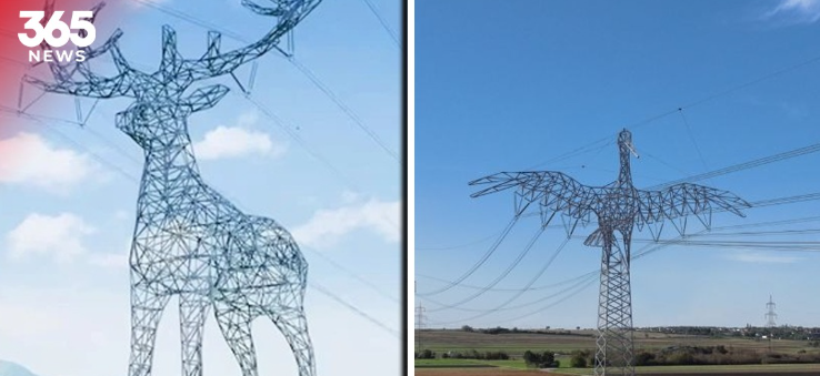 Electricity poles shape of birds and animals