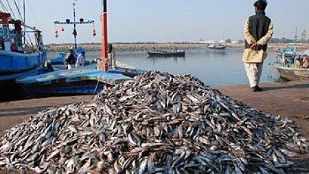 Fish Harbours for Fishermen