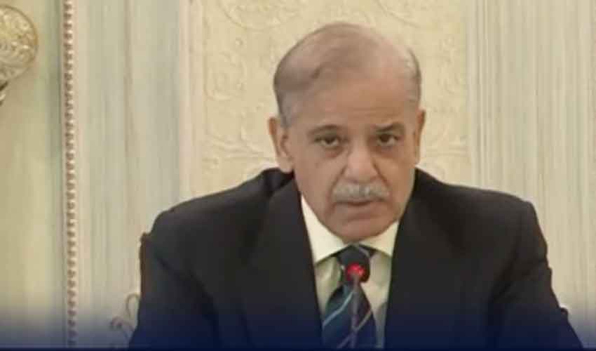 Shehbaz Sharif and Sohail Afridi