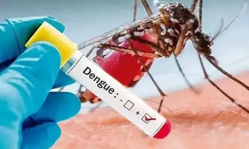43 New Dengue Cases