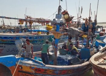 Pakistan Foils Indian False-Flag Operation