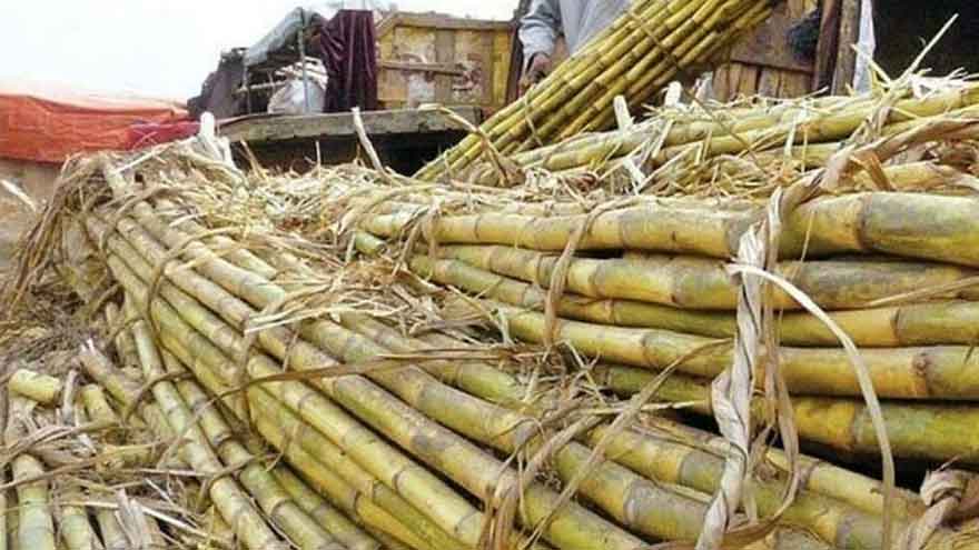 Sugar Mills Over Crushing Delay