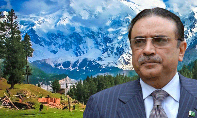 President Asif Ali Zardari