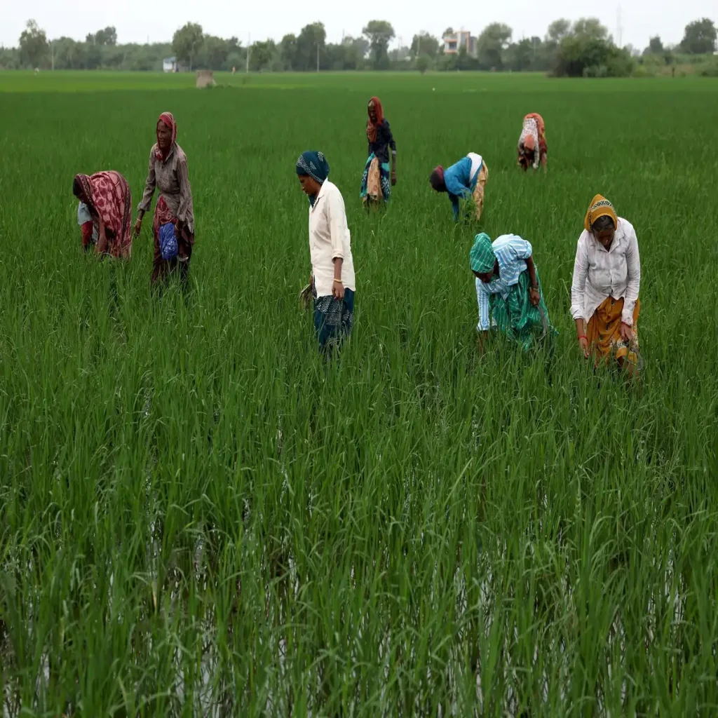 Indian Agricultural Exports