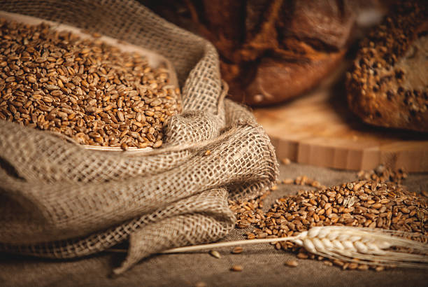 Punjab Launches Wheat