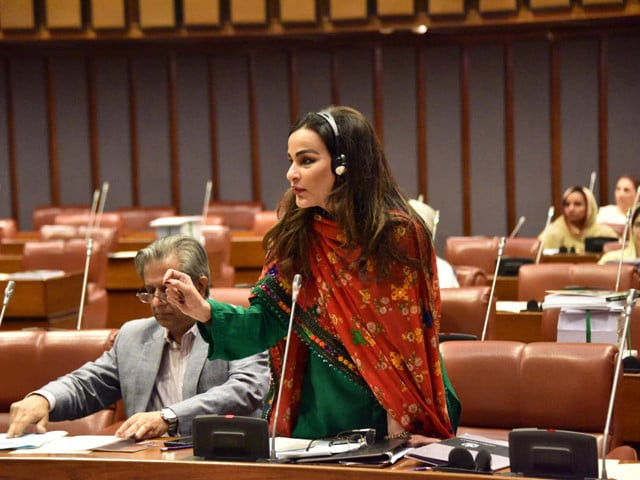 Senator Sherry Rehman