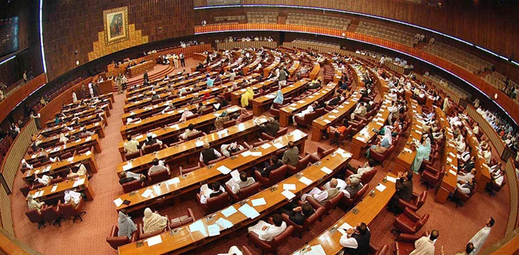 قومی اسمبلی 2025 کارکردگی