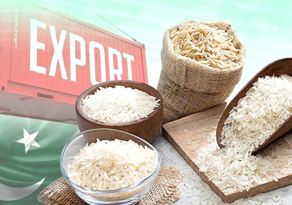 Pakistan Türkiye rice exports