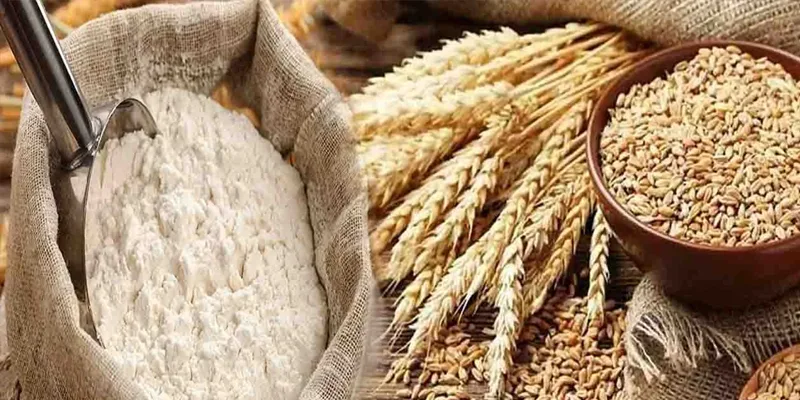 آٹے کی قیمتوں