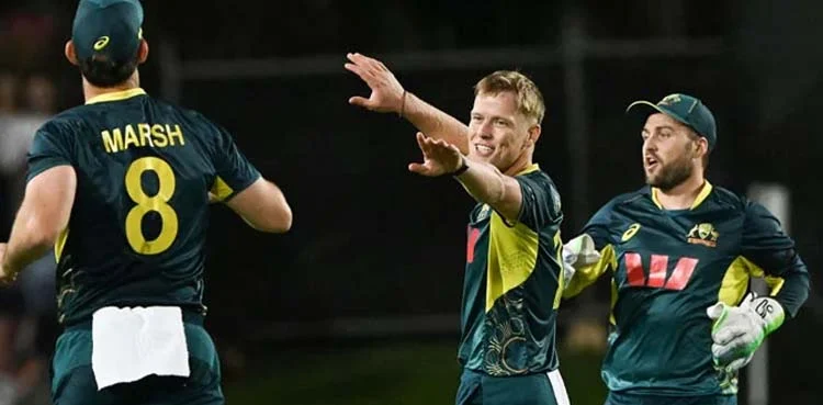 فاسٹ بولر نیتھن ایلس انجری