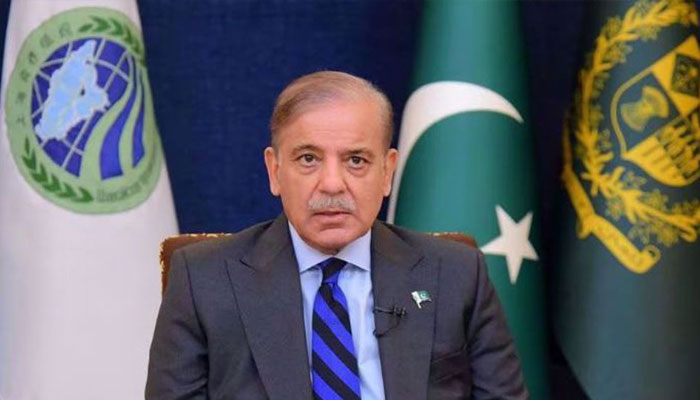 Pakistan oil price review