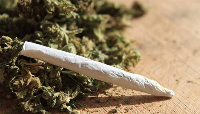 بھنگ استعمال عالمی صحت خطرات THC اضافہ