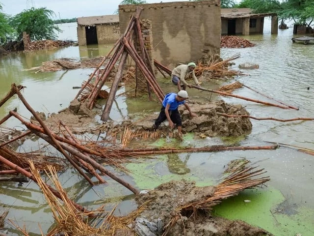 Pakistan floods job losses 2025