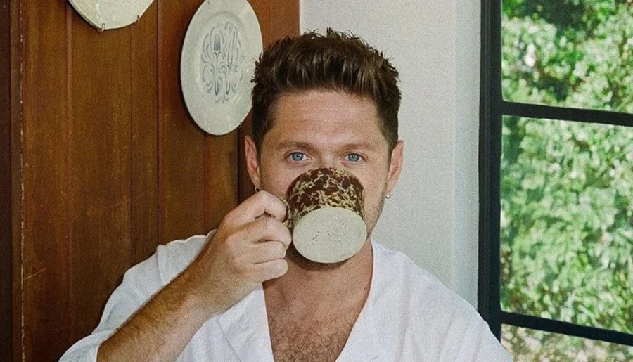 Niall Horan Dinner Party song