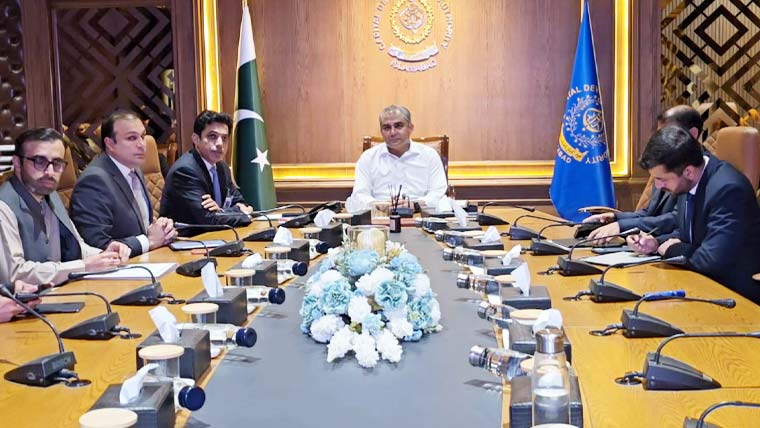 وفاقی وزیر داخلہ محسن نقوی