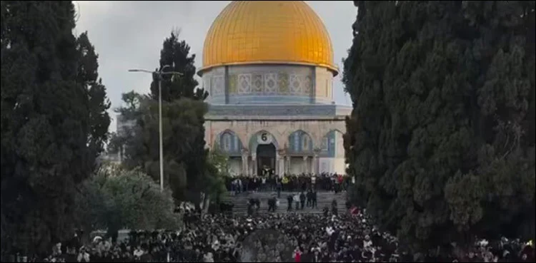 Al Aqsa Mosque reopening
