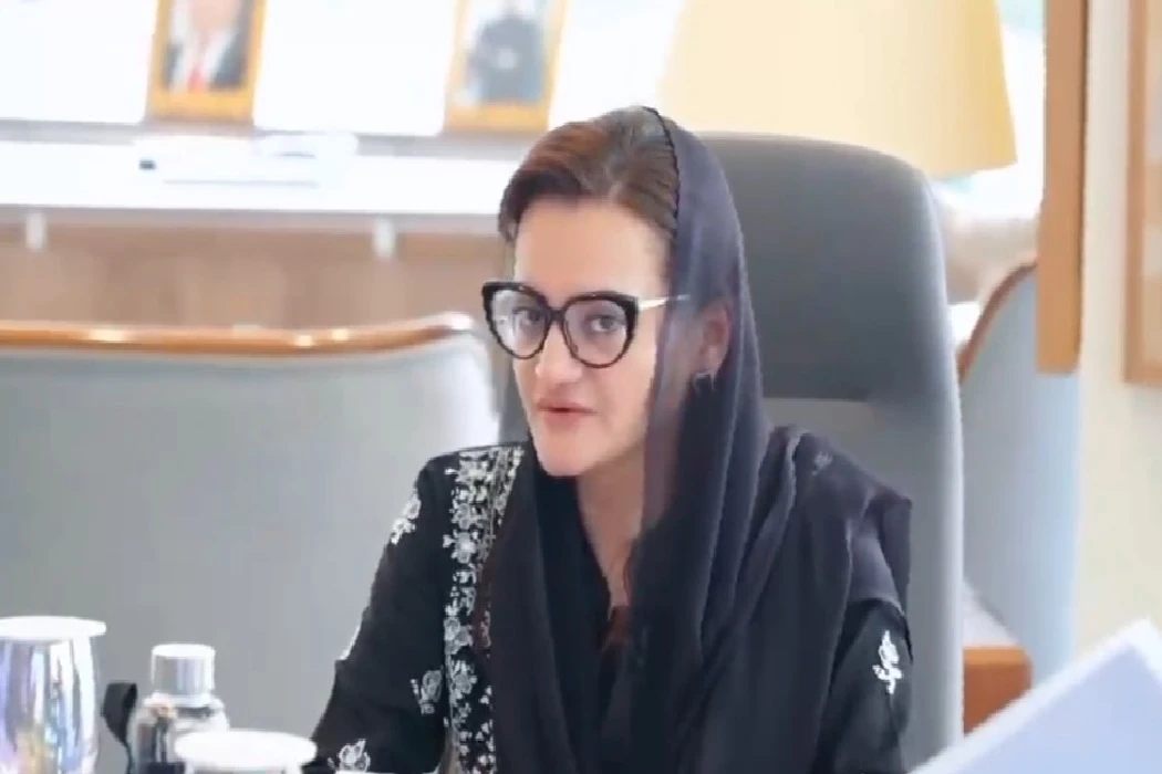 Punjab development projects education review 2026-27