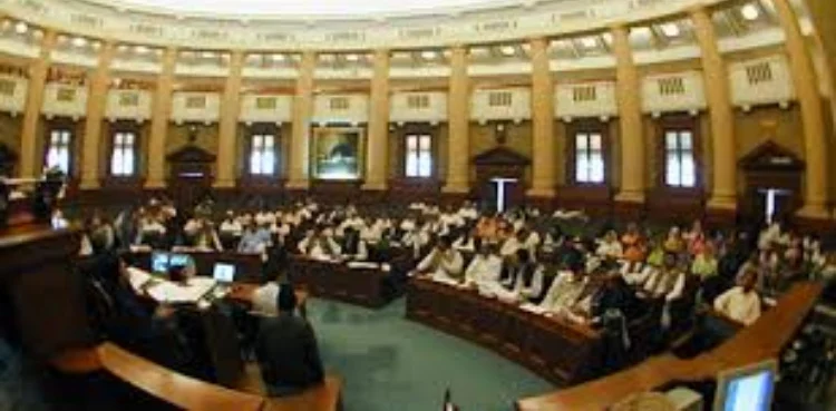 Punjab child marriage ordinance 2026 approval