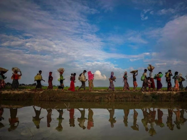 Rohingya sea tragedy