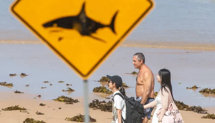 Australia shark attack near Rottnest Island