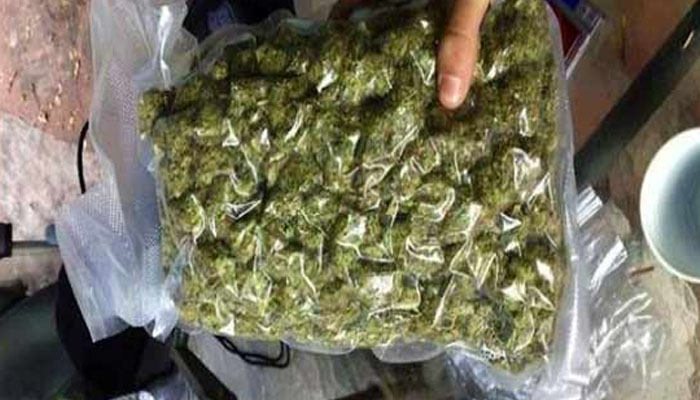 خاتون منشیات فروش گرفتار