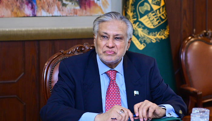 وزیر خارجہ اسحاق ڈار