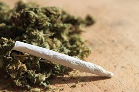 Karachi drug raid cannabis recovery