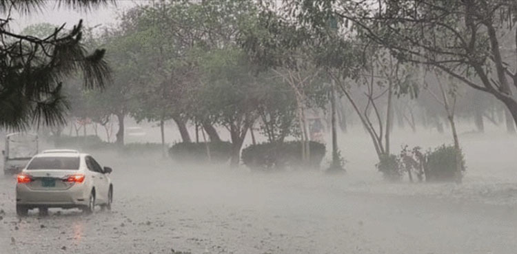 KP rain thunderstorm alert PDMA