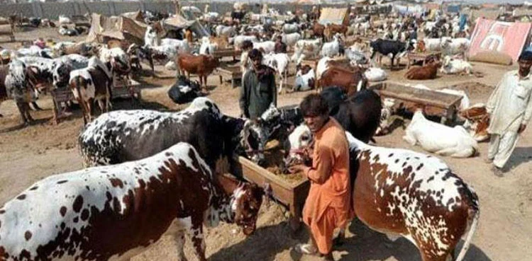 eid ul adha 2026 pakistan prediction