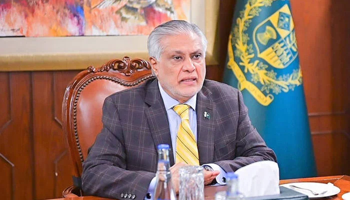 Ishaq Dar Egypt R4 meetingIshaq Dar Egypt R4 meeting