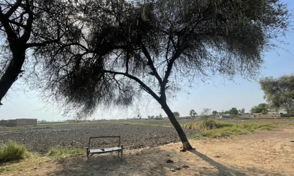 Jacobabad heatwave crisis Pakistan